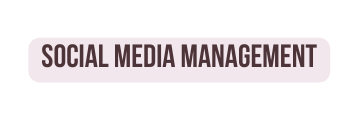 SOCIAL MEDIA MANAGEMENT